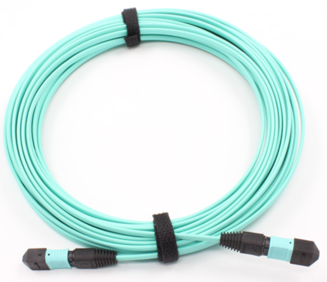 OM3萬兆多模12芯帶狀跳